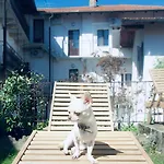 Complex Levoasi Διαμέρισμα