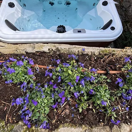 Complex Levoasi Appartamento Stresa