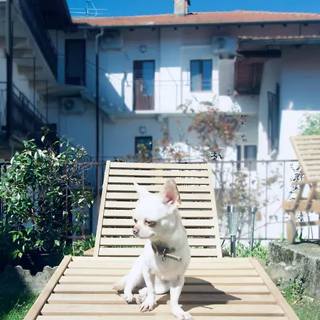 Complex Levoasi Appartamento