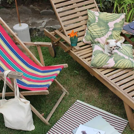 Complex Levoasi Appartamento Stresa