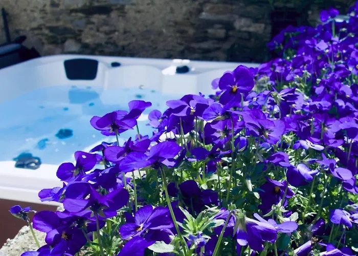 Complex Levoasi Στρέσα