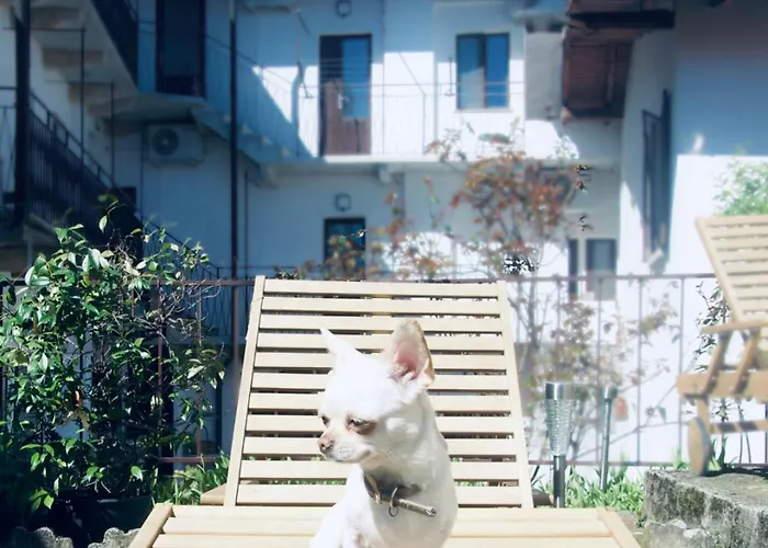 Complex Levoasi 公寓