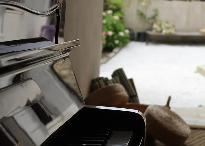 Complex Levoasi 公寓 斯特雷萨