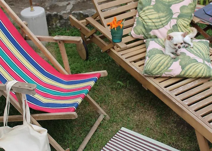 Complex Levoasi 公寓 斯特雷萨